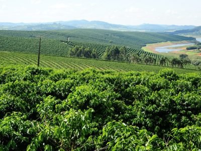 WhatsApp Image 2019-07-08 at 15.38.08