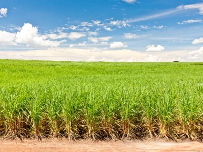 WhatsApp Image 2019-07-16 at 14.17.45