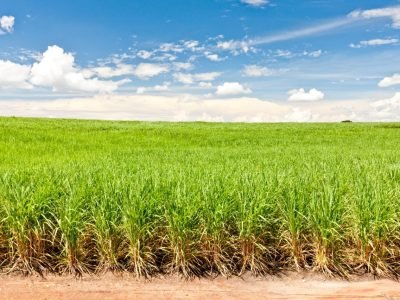 WhatsApp Image 2019-07-16 at 14.17.45