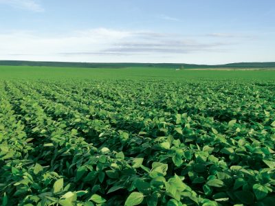 Rentabilidade ao produtor e demanda colocam agricultura na era digital