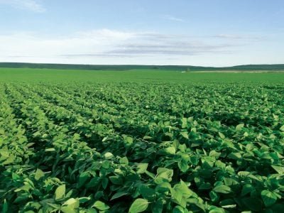 Rentabilidade ao produtor e demanda colocam agricultura na era digital