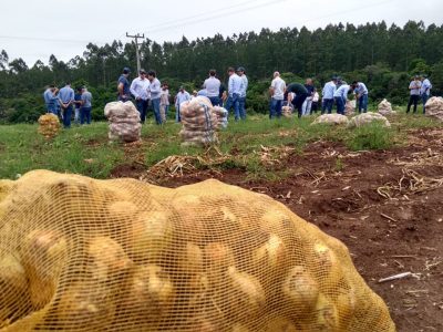 Cebolicultores mineiros visitam área de produção em Santa Catarina