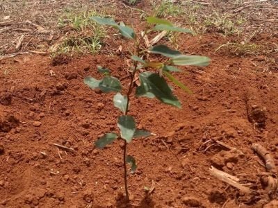 WhatsApp-Image-2020-10-07-at-17.53.02