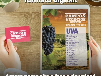 WhatsApp-Image-2021-11-11-at-11.21.08