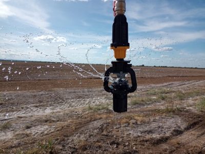 WhatsApp-Image-2022-05-13-at-13.42.24