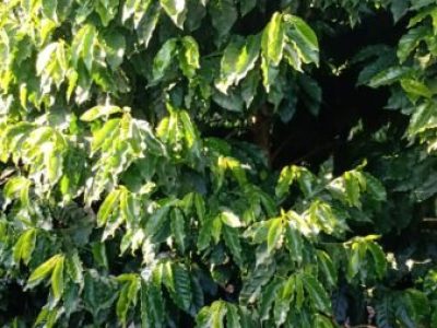 WhatsApp Image 2022-06-08 at 09.38.49 (2)