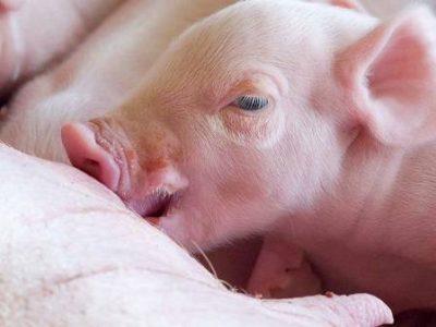 WhatsApp-Image-2022-07-19-at-10.44.26