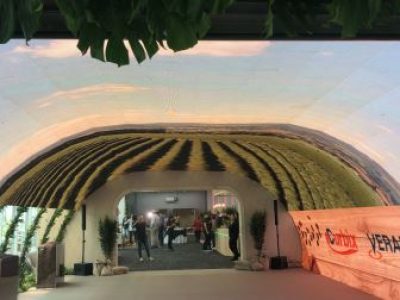 WhatsApp-Image-2022-10-05-at-10.41.03