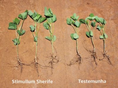 WhatsApp-Image-2022-11-17-at-11.05.54-Telefone