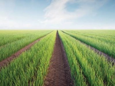 WhatsApp Image 2023-04-05 at 18.30.07