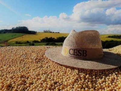 WhatsApp Image 2023-05-29 at 09.16.07