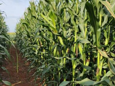 WhatsApp-Image-2023-06-26-at-17.55.18-1