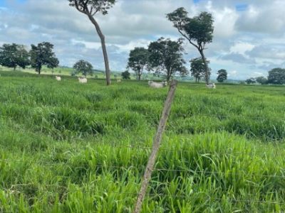 Fazenda Rancho Alegre/Altura de entrada recomendada, de 70 centímetros, foi respeitada