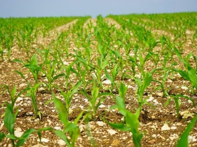 WhatsApp-Image-2023-09-25-at-14.14.03 (1)