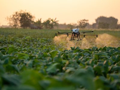 WhatsApp-Image-2023-11-27-at-13.37.53