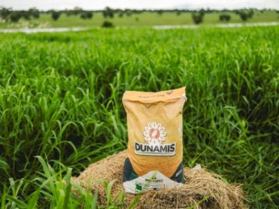 WhatsApp-Image-2024-05-08-at-16.24.15-Telefone