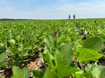 WhatsApp-Image-2024-05-28-at-08.55.45-Telefone