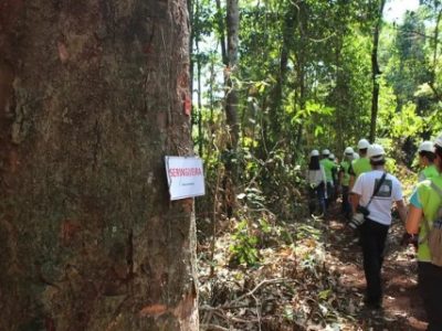 WhatsApp-Image-2024-06-11-at-15.22.29-Telefone