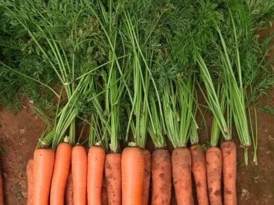 WhatsApp-Image-2025-03-25-at-10.18.42