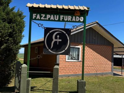 Atualmente, a Fazenda Pau Furado cultiva aproximadamente 600 hectares de soja, milho, feijão, aveia, cevada e trigo
divulgação