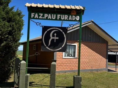 Atualmente, a Fazenda Pau Furado cultiva aproximadamente 600 hectares de soja, milho, feijão, aveia, cevada e trigo
divulgação