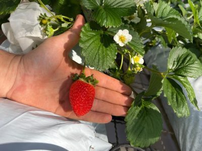 WhatsApp Image 2026-01-29 at 07.55.08 (3) (Pequeno)