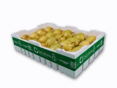 WhatsApp Image 2026-02-23 at 10.54.14 (Pequeno)