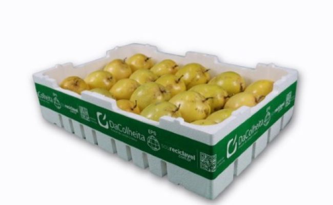 WhatsApp Image 2026-02-23 at 10.54.14 (Pequeno)