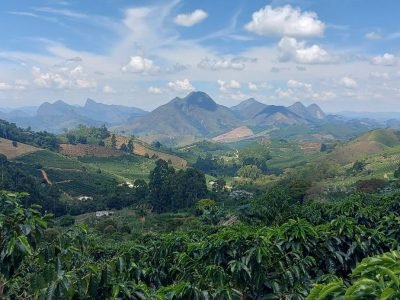 WhatsApp Image 2026-02-25 at 15.25.28