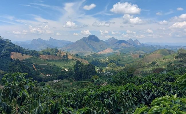 WhatsApp Image 2026-02-25 at 15.25.28