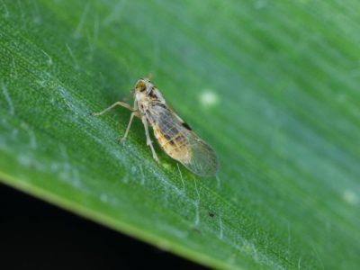 WhatsApp Image 2026-03-04 at 10.19.25 (Pequeno)