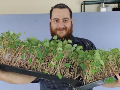 Hugo Garcia, produtor de microverdes em Holambra (SP)
Agristar do Brasil