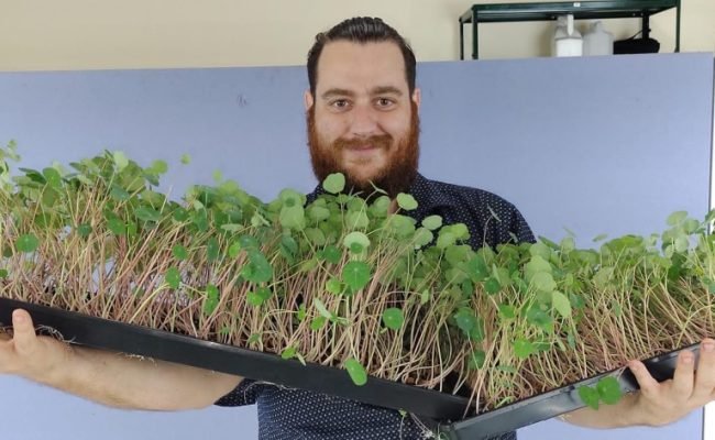 Hugo Garcia, produtor de microverdes em Holambra (SP)
Agristar do Brasil