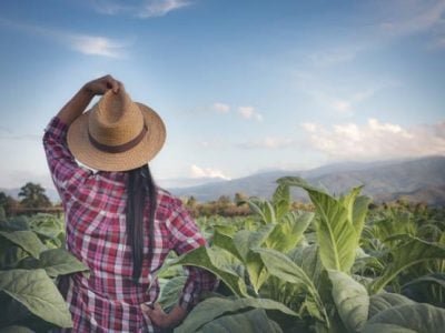Mulher no campo - Crédito: Internet