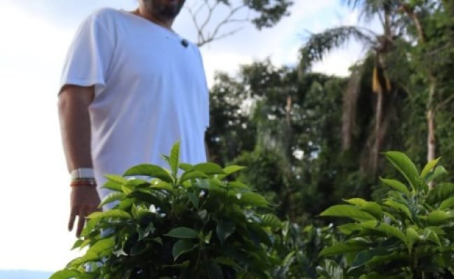 Lenda do café especial, Luiz Paulo investe em espécie rara, comparada ao Romanée Conti do vinho, que é vendida a R$ 90 mil a saca de 60 kg