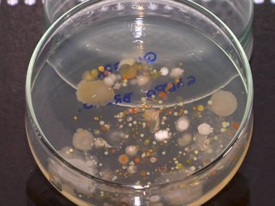 a53acb71-5fed-4e49-8f22-3fdfb5fa569a