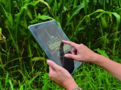 a_Tecnologia_por_Lilian_Alves