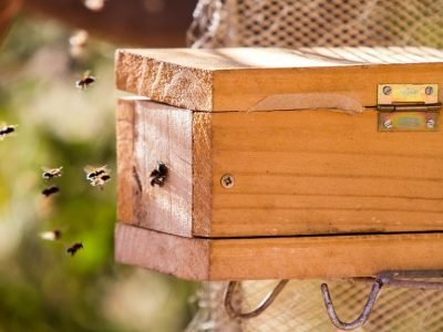 Crédito: Éden Barbosa