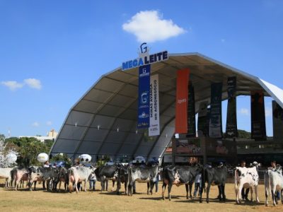 abertura julgamento (Pequeno)