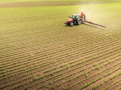 Adubação - Crédito Shutterstock