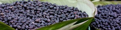 acai