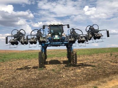 Tecnologia para realização de despendoamento de milho no Brasil