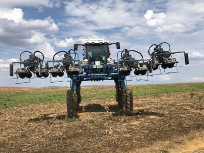 Tecnologia para realização de despendoamento de milho no Brasil