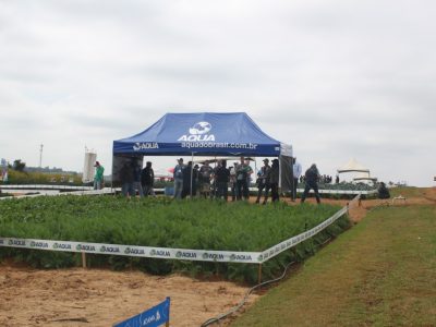 Aqua estreia na 13ª edição do Bejo a Campo