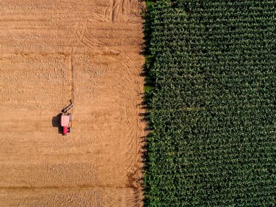 Agricultura - Crédito Shutterstock