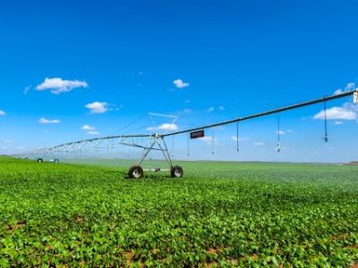 agricultura-irrigada_credito-diego-vargas_seapa-mg (7) (Telefone)