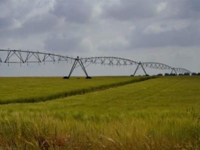 agriculture-6235331-1920-1-