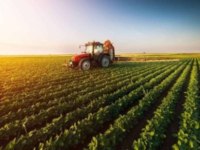 agro (1)