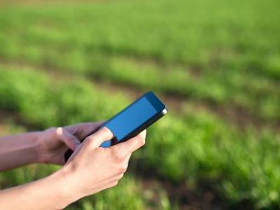 agro (Telefone)
