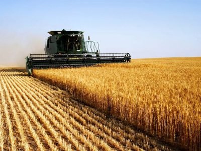 Agronegócio -  Crédito: Divulgação